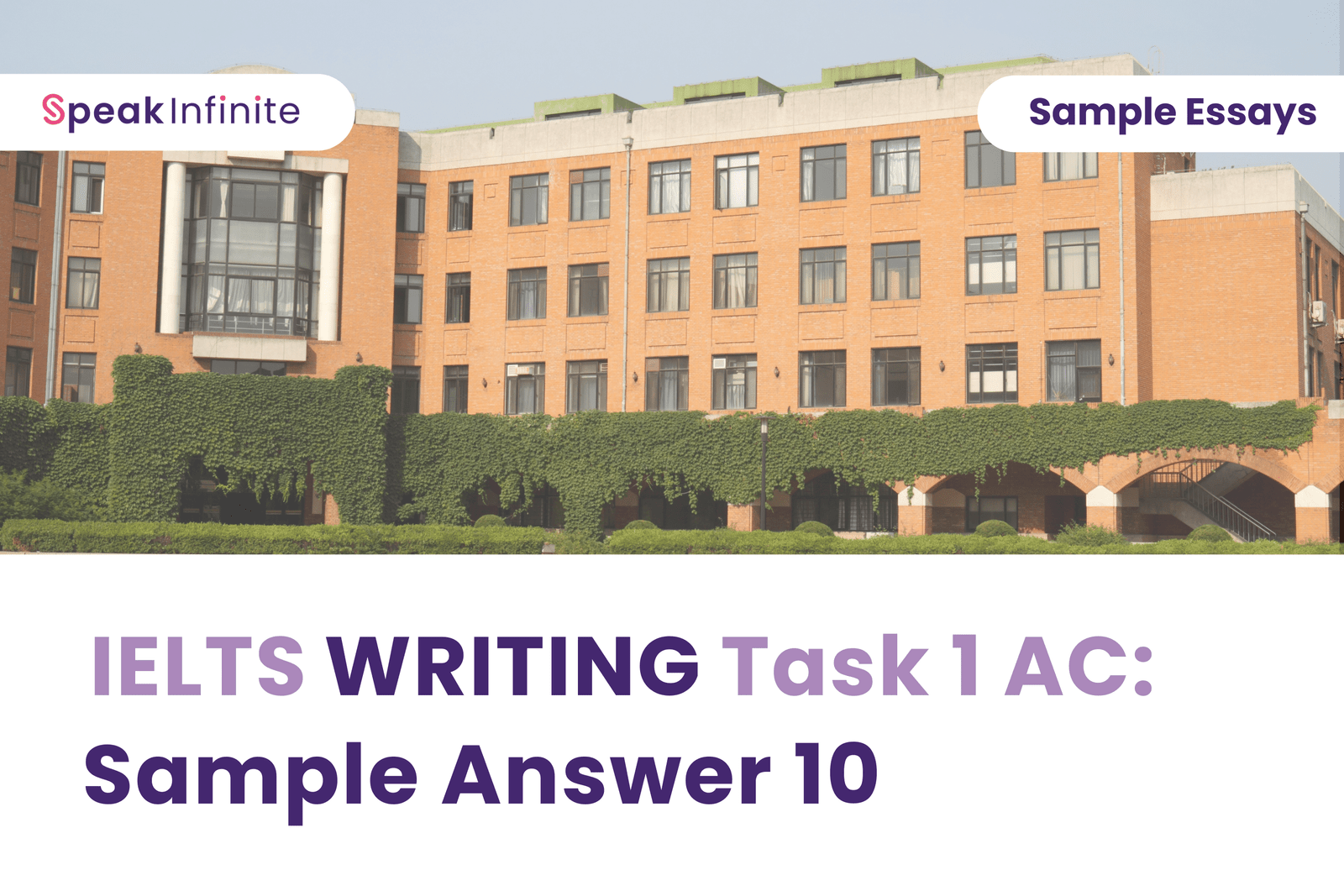 IELTS Writing Task 1 AC: Sample Answer 10