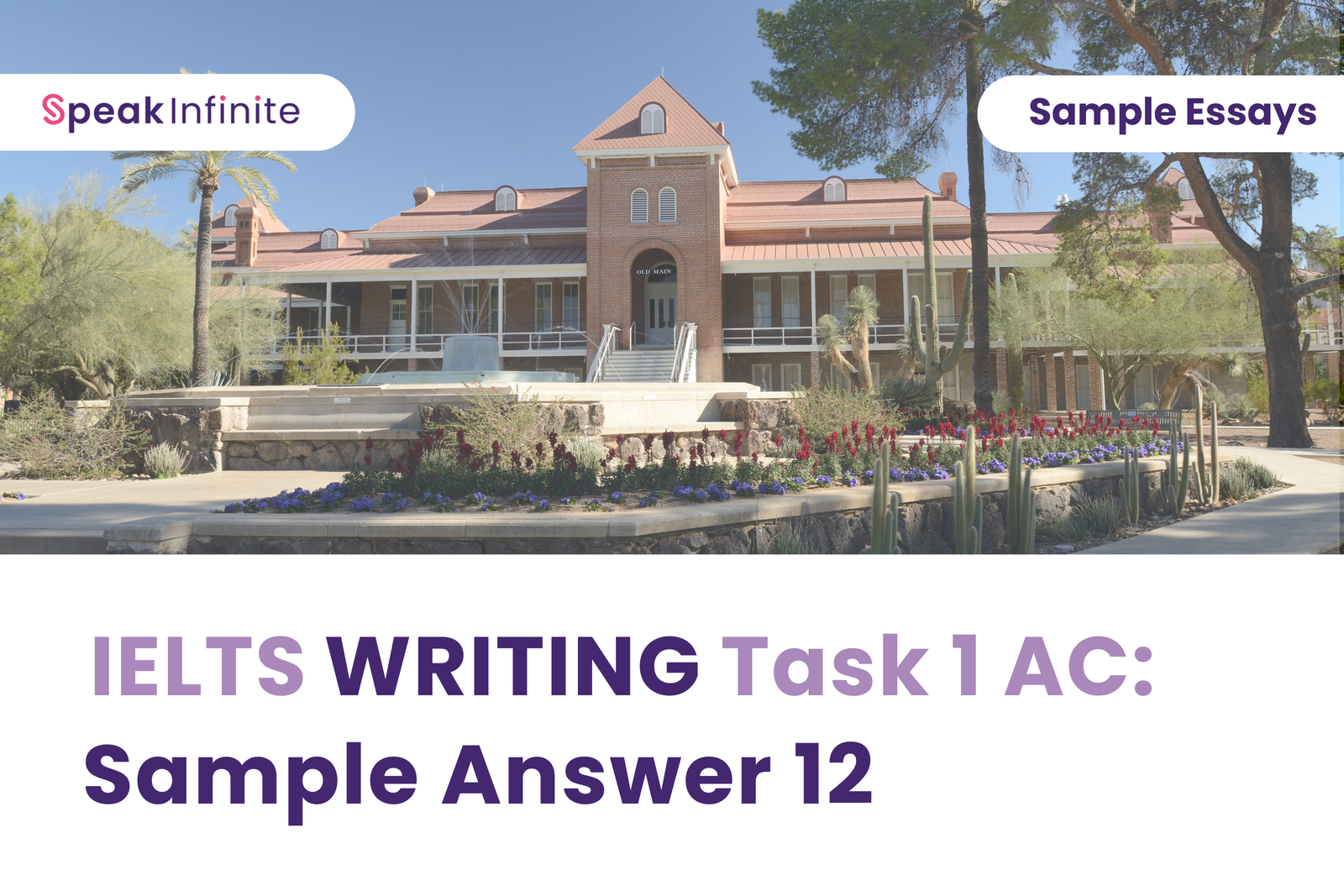 IELTS Writing Task 1 AC: Sample Answer 12