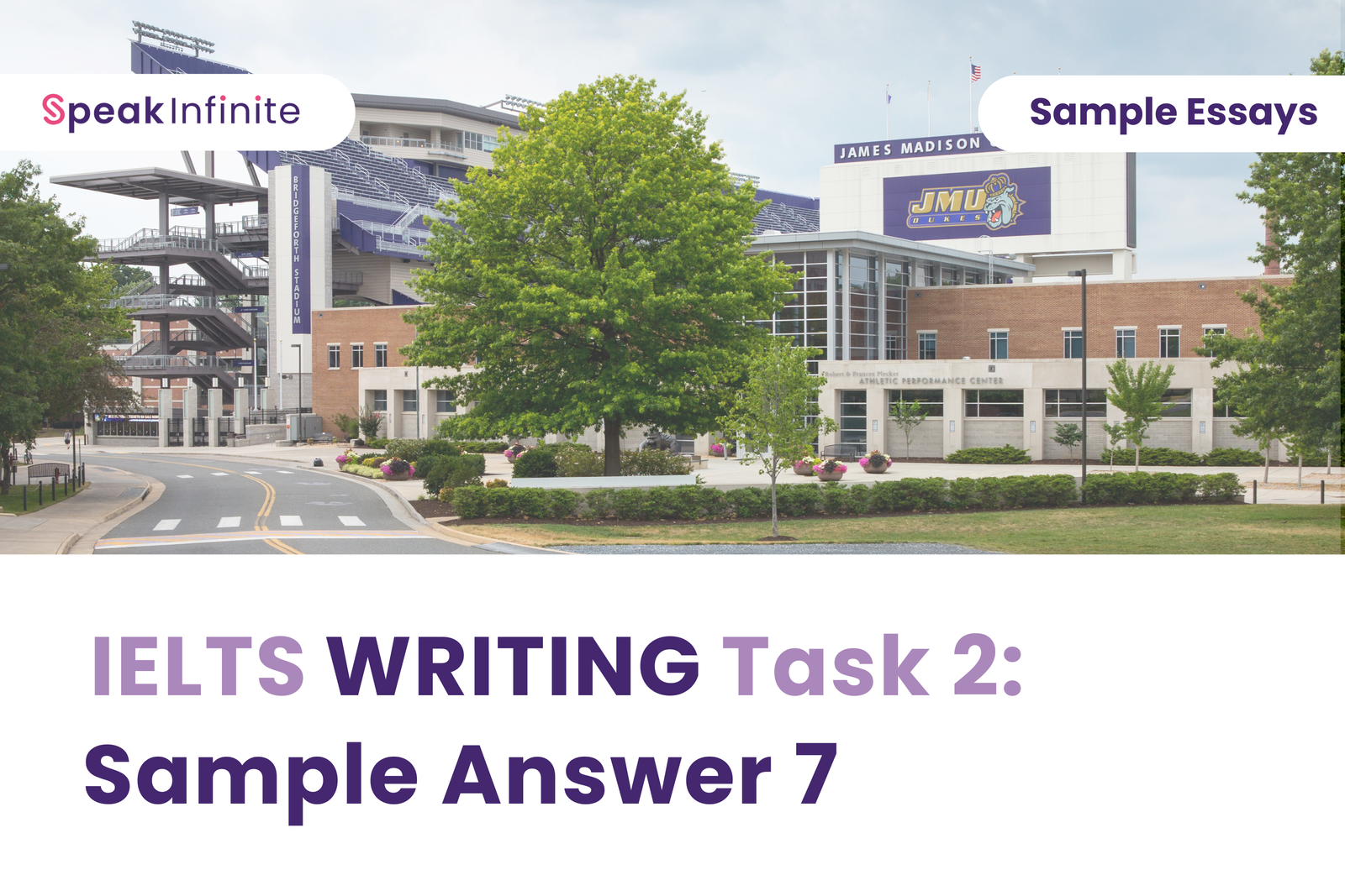 IELTS Writing Task 2: Sample Answer 7