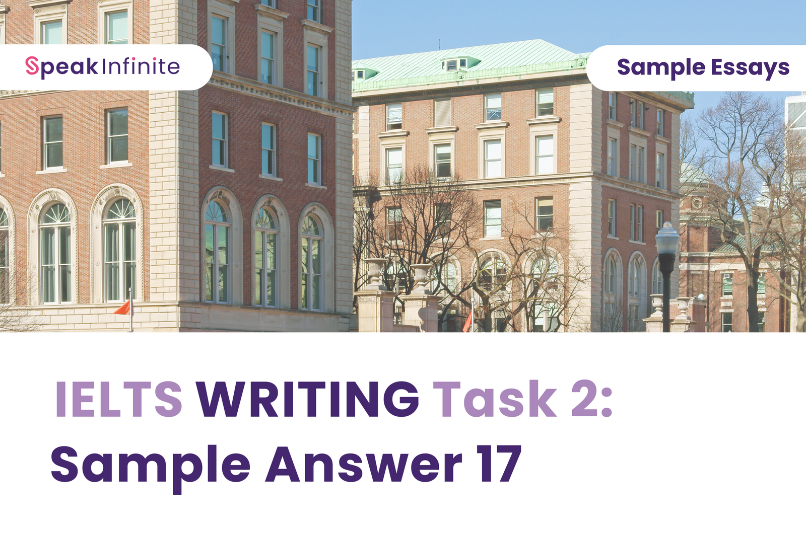 IELTS Writing Task 2: Sample Answer 17