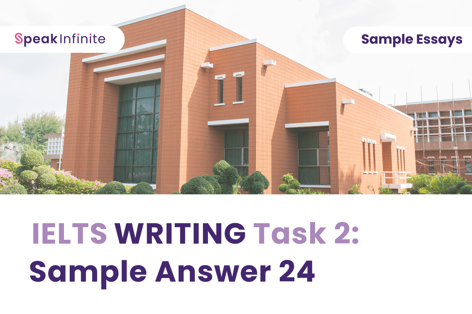 IELTS Writing Task 2: Sample Answer 24